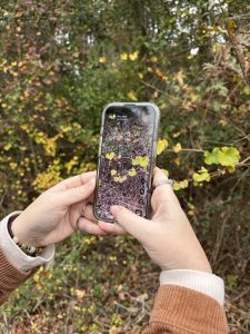 A person uses the iNaturalist app on their phone to take a picture of a vine and identify it.