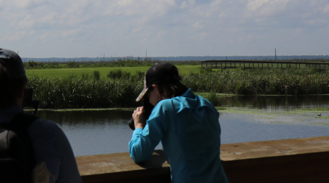 Two people stand on a dock and look out over the water. One of them is taking a picture using a camera.