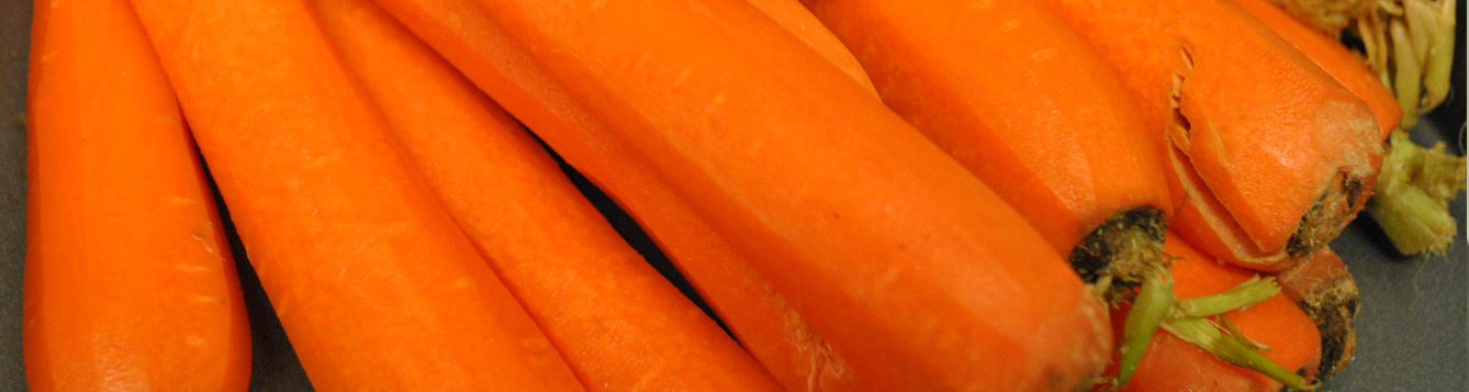 close-up of fresh carrots