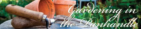 Gardening in the Panhandle banner image