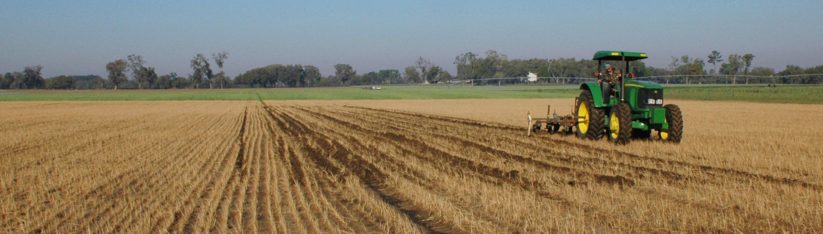 Citra farm, University of Florida/IFAS Research and Education Center, wheat, tilling soil, disking, tractor, field. UF/IFAS Photo: Josh Wickham.