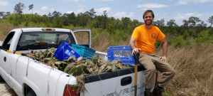 Thomas Smith pictured on a truck after rounding up his cactus plant experiments. 
