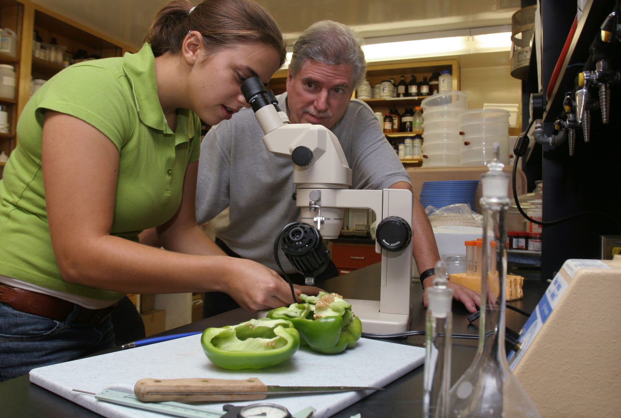 5 CALS Majors Related to Food UF/IFAS College of Agricultural and