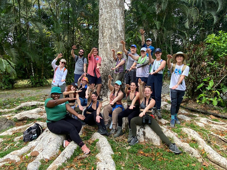 New York Film Academy