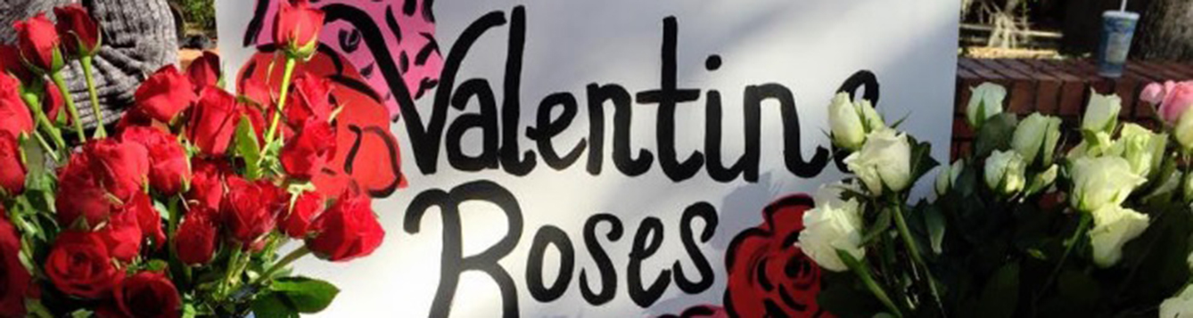 valentine's roses for alpha zeta rose sale