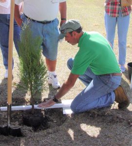 an image of a man planting a tree