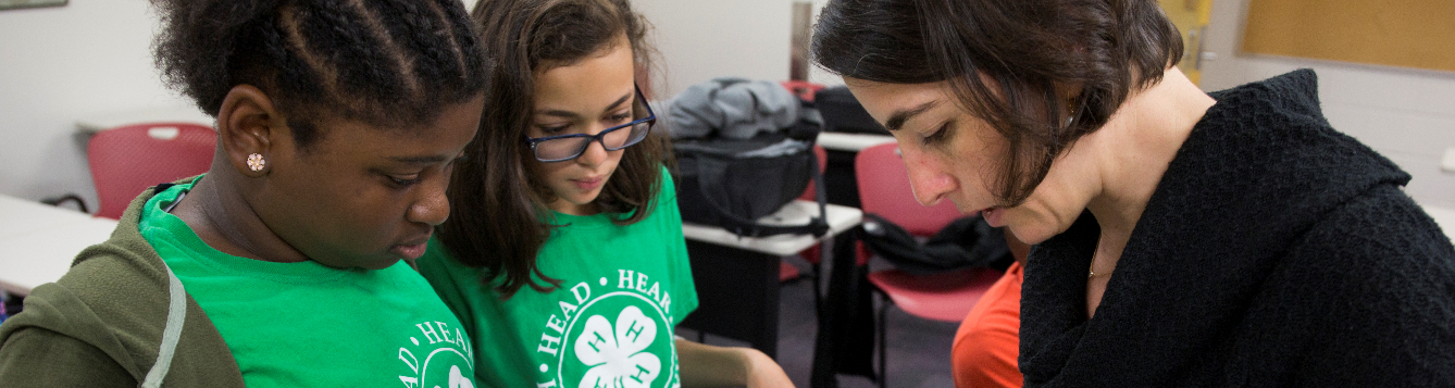 Exploring Demonstrations and Illustrated Talks in 4-H County Events ...