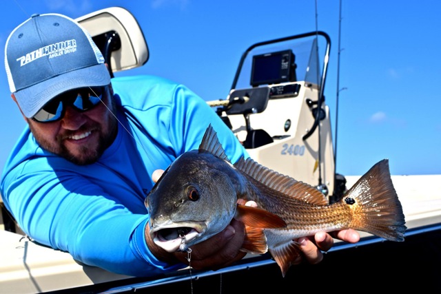 A catch and release redfish : Photo Capt. Jay Withers