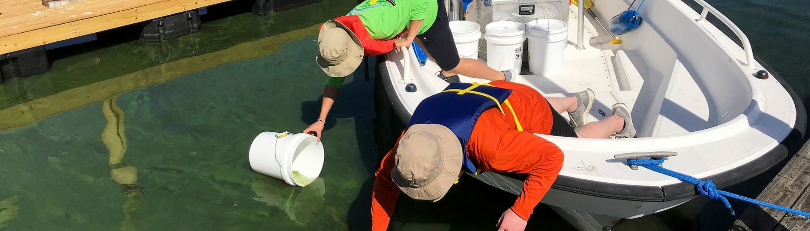 Researchers taking algal bloom samples.