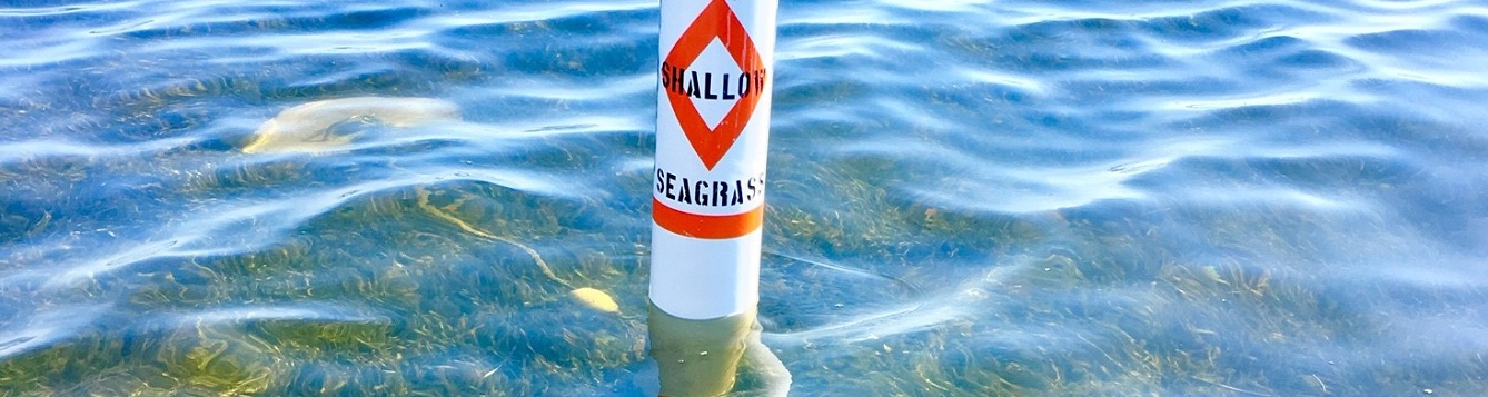 a seagrass warning buoy among dense seagrass