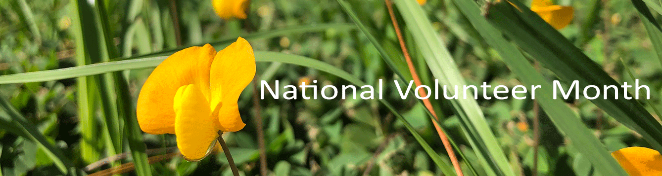 National Volunteer Month