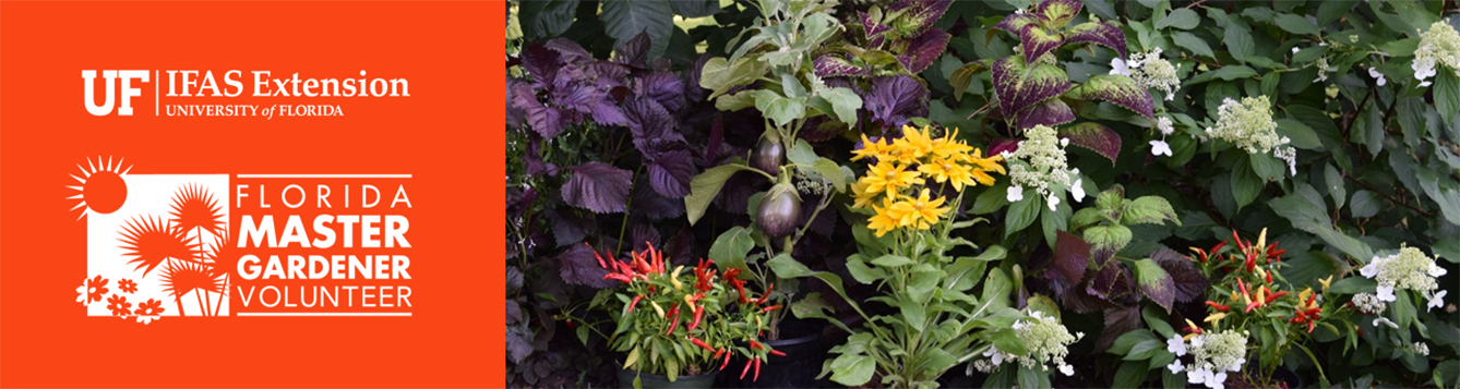 Florida Master Gardener Book Club