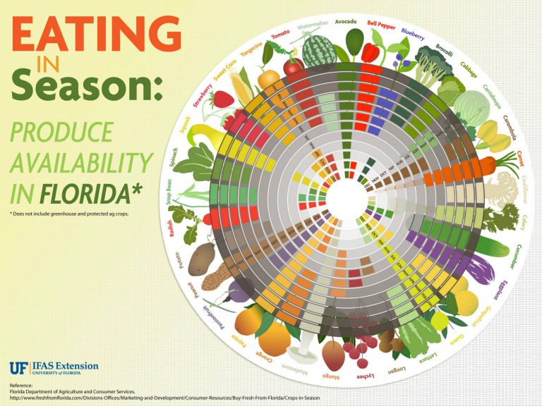 INFOGRAPHIC What's Fresh in Florida? UF/IFAS Extension Collier County