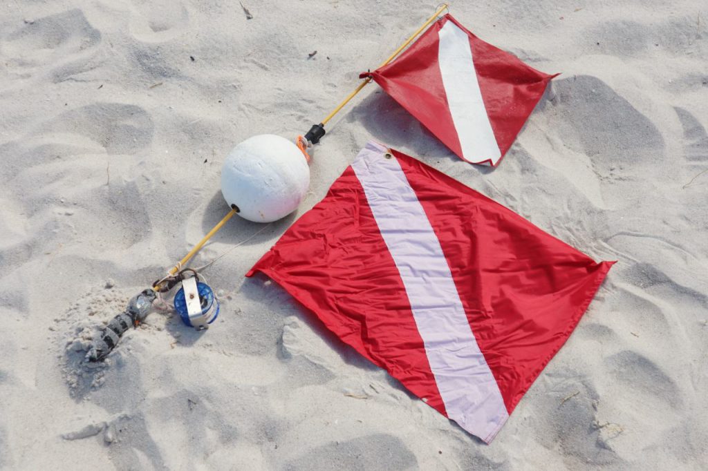 Summertime Dive Safety And Dive Flag Awareness! UF/IFAS Extension