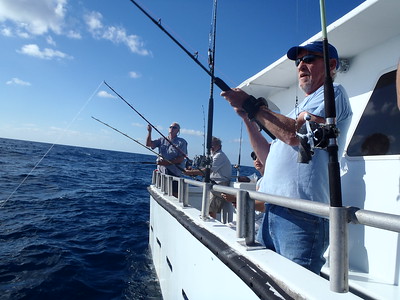 Federally Permitted For-Hire Fishing Operations In Florida States ...