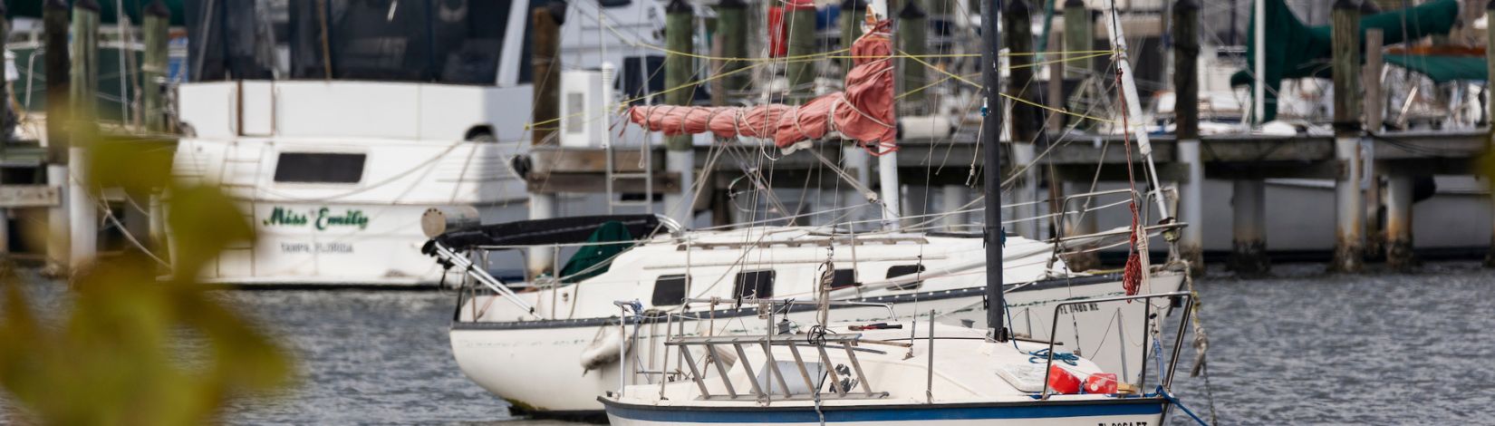 Sail boats docked in a Tampa Bay marina.