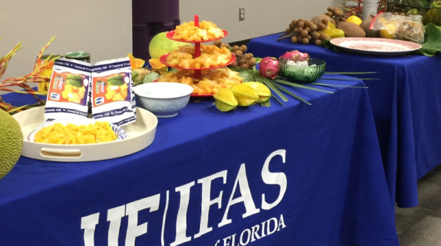 2025 JAMAS! Learning Never Tasted So Good!