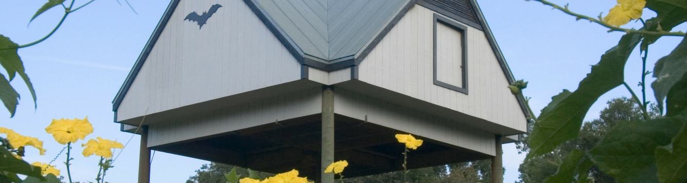 Bat house