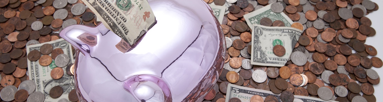 Money being placed in a piggy bank