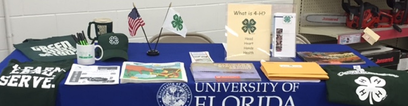 4-H display table