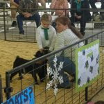 Raegan Kinard State Fair 2017 girl and woman in pen with a small goat