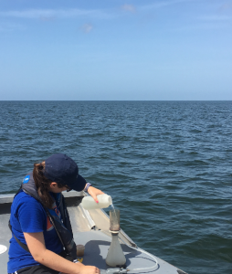 Intern Kelly Colvin sampling water quality