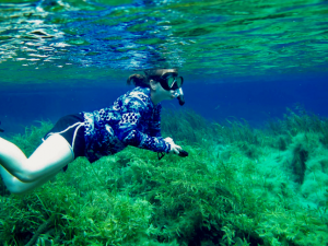 Intern Kelly Colvin snorkeling in seagrass