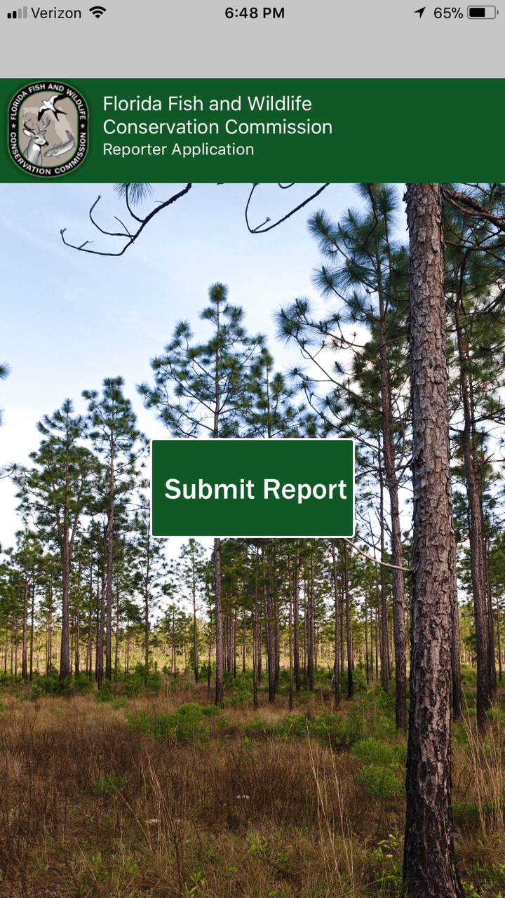 Screenshot of Reporter App 2