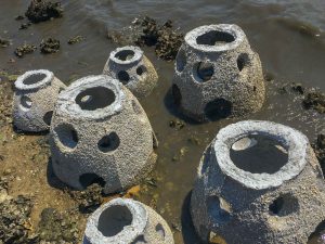 Reef balls just deployed in Cedar Key