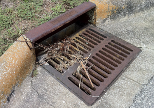 don't put grass clippings down the storm drain