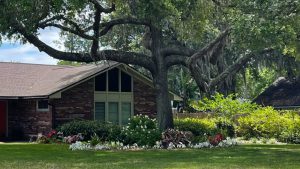 Gardening Advice to the just moved to Jacksonville