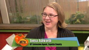 Recently Moved to Jacksonville