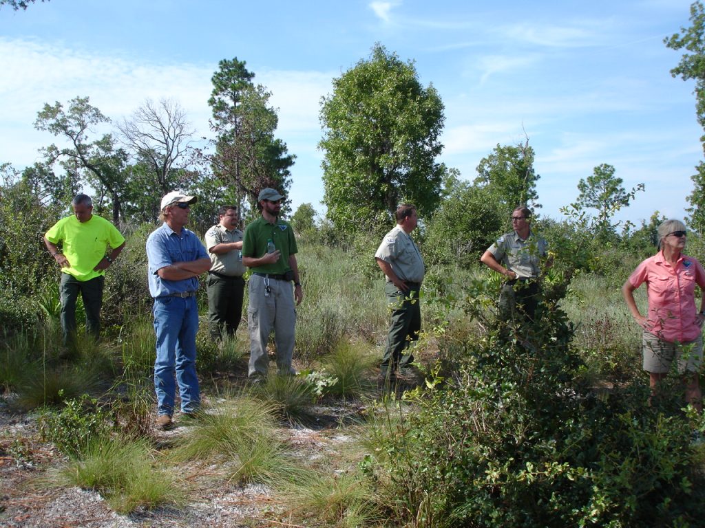 Stewardship of Florida s Public - Dunns Creek SP 6035 1024x768 