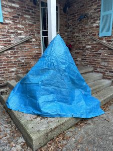 plants wrapped in a tarp
