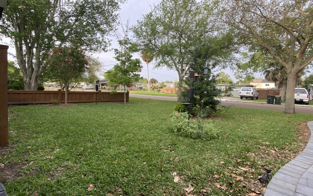 Simple front yard with a few trees.