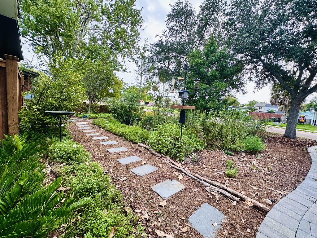 Front yard with mulched pathway and many native shrubs and wildflowers