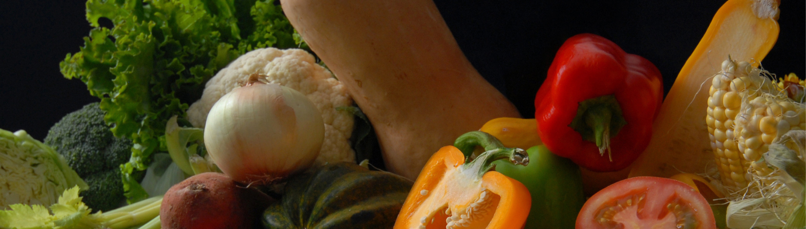 Spring and Fall Vegetables. 2008 IFAS Extension Calendar. UF/IFAS Photo: Josh Wickham