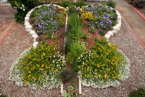 flower garden shaped like a butterfly