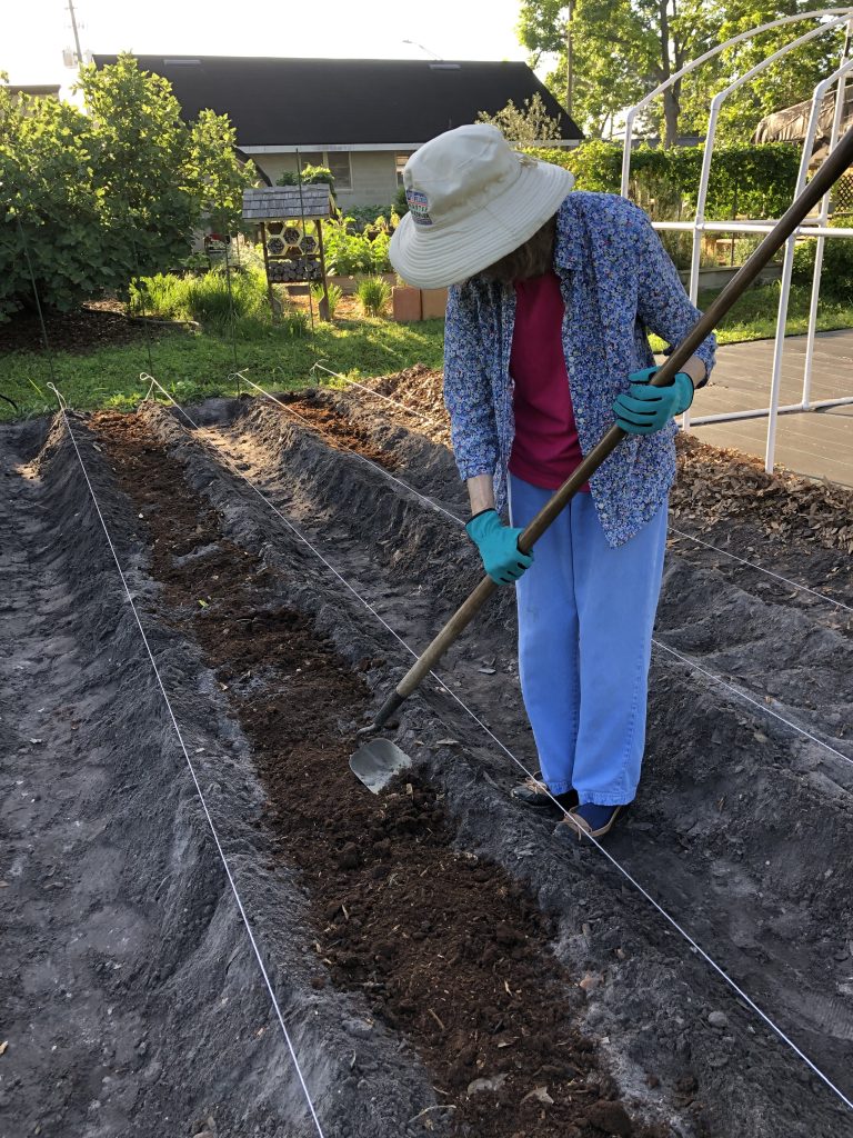 A woman using a hoe to prepare rows in a garden bed