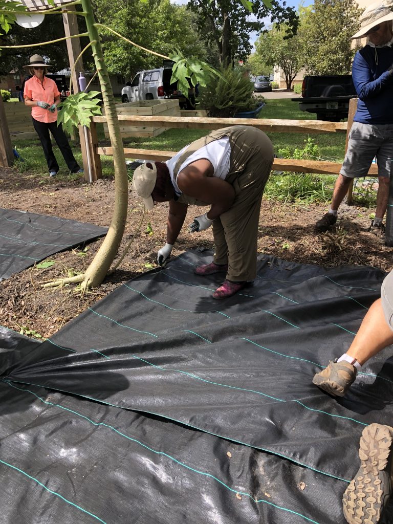 A person bending down to put landscape pin in a black tarp covering a garden plot.