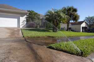 Sprinkler head in grass with wet concrete nearby