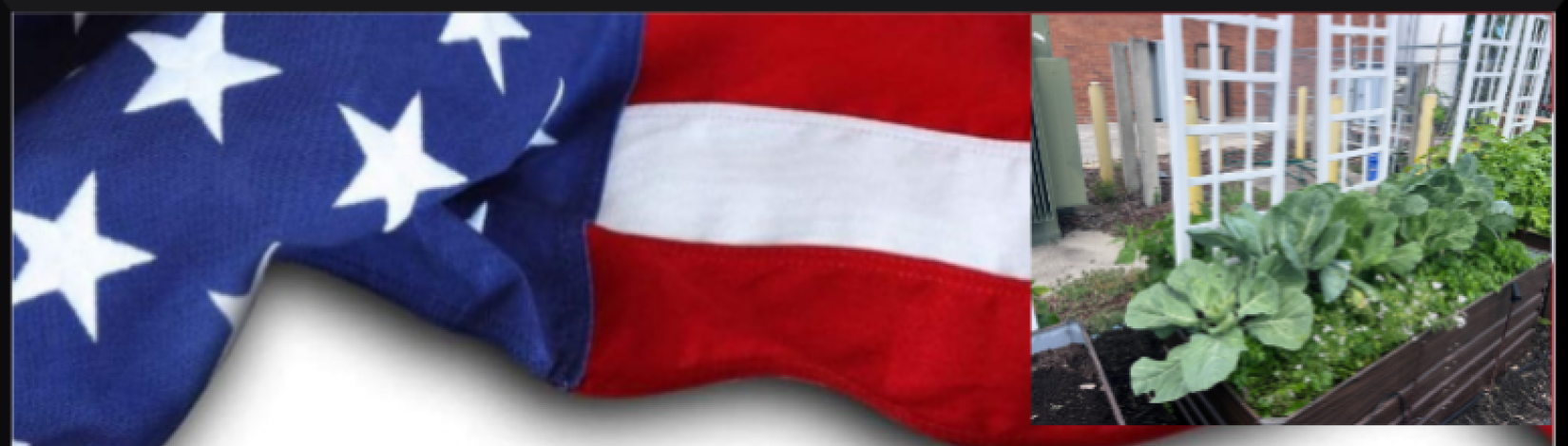 folded American flag with a picture of a garden