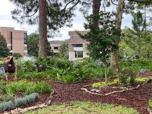 A panoramic view of the butterfly garden with flowers, mulched pathways and buildings in the distance. 