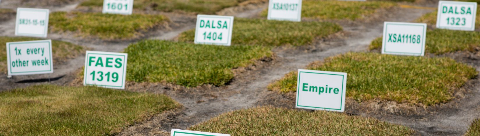 Turf grass samples at National Institute of Food and Agriculture (NIFA).