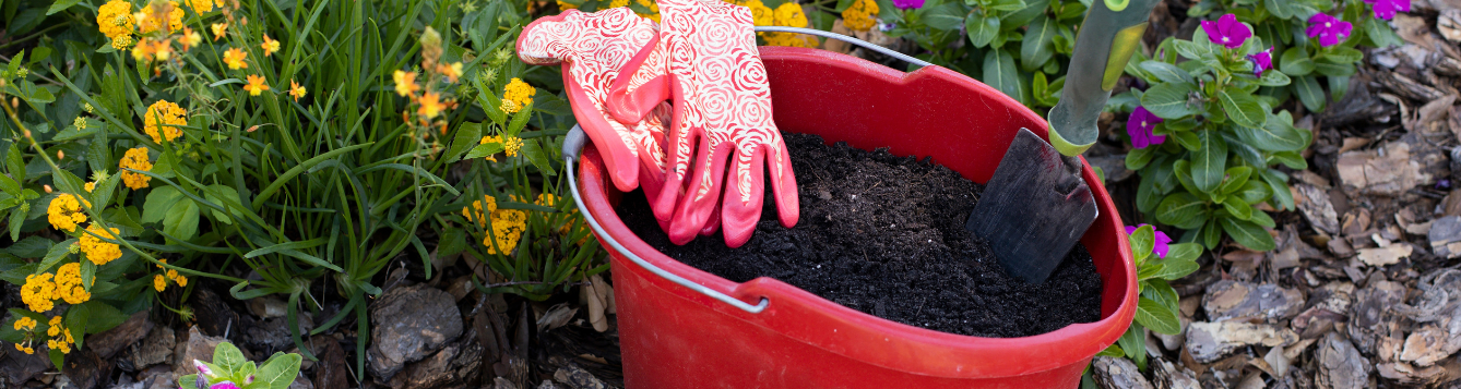 Garden gloves and spade rest in a bucket of compost in the garden