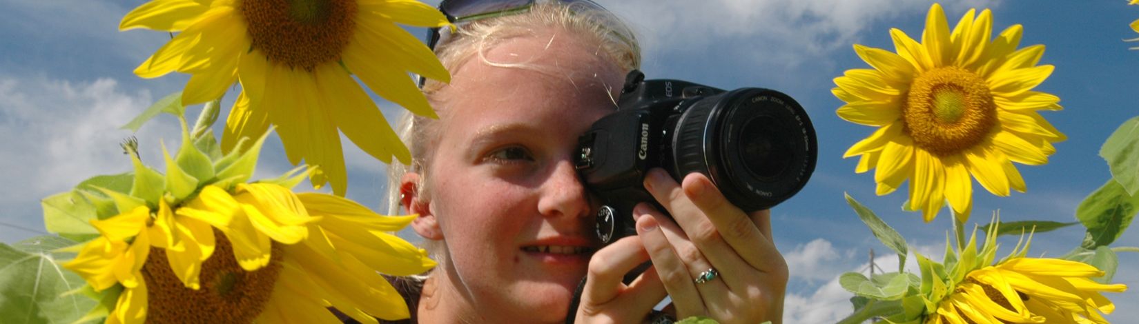 Student takes photo of sunflowers