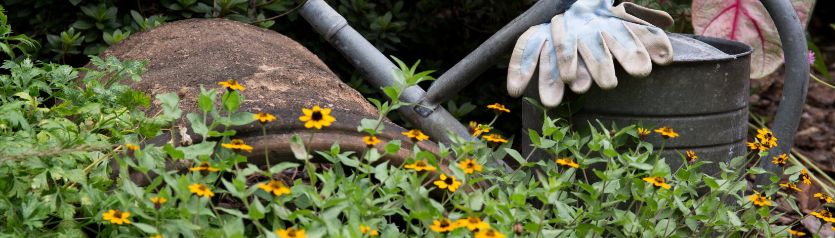 UF/IFAS Photo by Tyler Jones