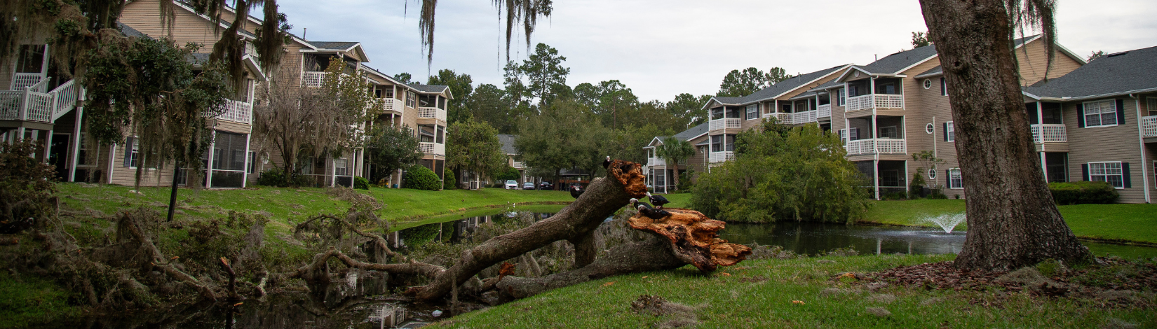 UF/IFAS Photo by Cat Wofford