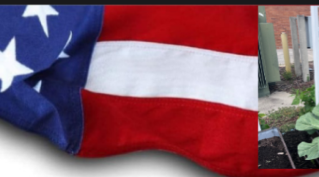 folded American flag with a picture of a garden