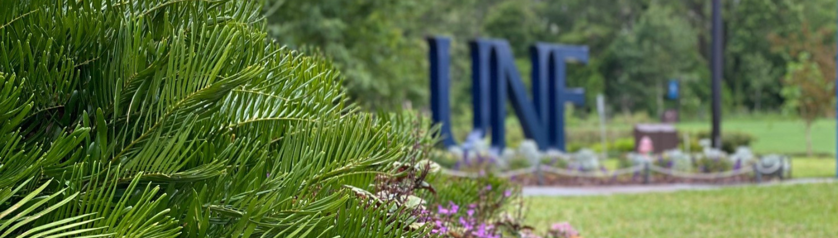 UNF Sign